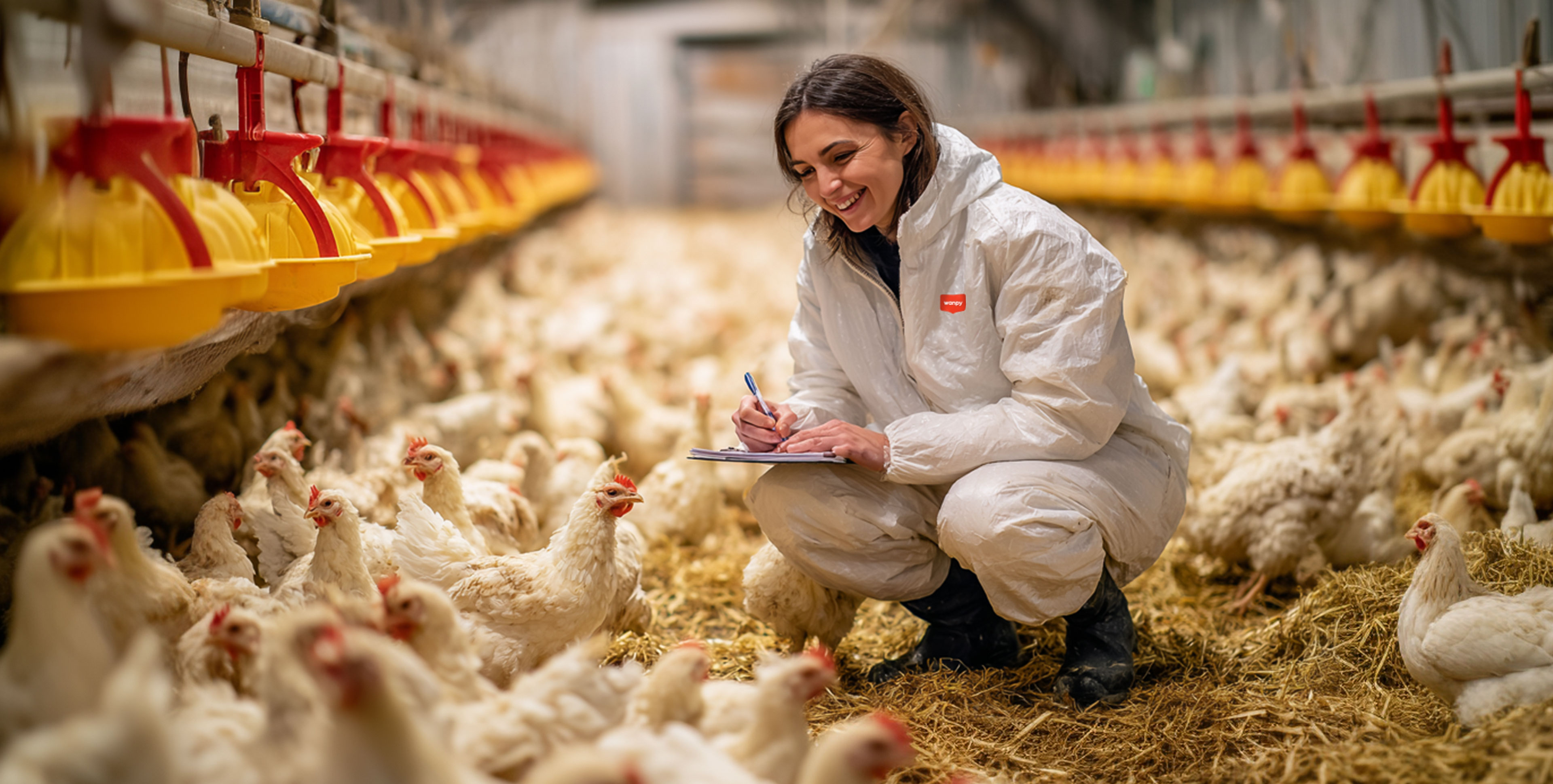 从源头到碗头图 3